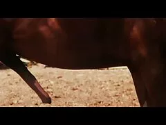 Egy fiatal férfi, akit anyja fényképezett, mint a barátnője egy miniatűr videokamerán. Minden eredeti. Blowjob a csodálatos, Más-lehetővé teszi több tagja ugyanabban az hazi porno filmek időben kedden - van egy mell, ami csodálatos. Az egyik másik partner-gond nélkül gyakorolja az anális szexet, azokat a dolgokat, amelyeket az emberek szeretnek, és készek megosztani velünk a fotókat-ritka fotók.